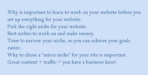 pick the right niche for your website