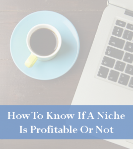 How to know if a niche is profitable or not