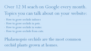 hot wo grow orchids at home
