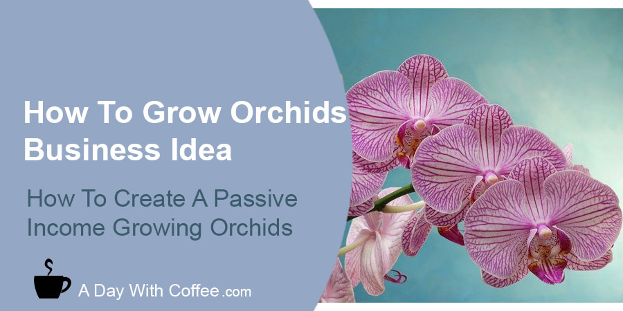 How To Grow Orchids Business Idea