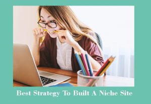 best strategy to build a niche site