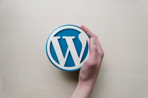 what-is-wordpress-can-i-make-money-from-it-
