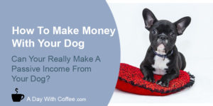 Make Money With Your Dog