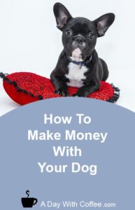 Make Money With Your Dog