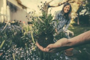 Make Money With Your Garden