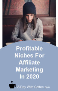 Profitable Niches For Affiliate Marketing - Woman With Laptop