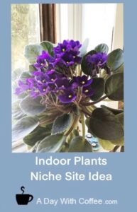 Indoor Plants Niche Site Idea